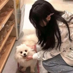 乐鱼游戏app在线登录下载手机版